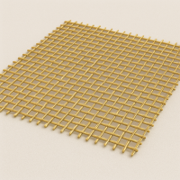 Латунная сетка